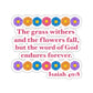Isaiah 40:8 - Multi Daisy Kiss-Cut Sticker